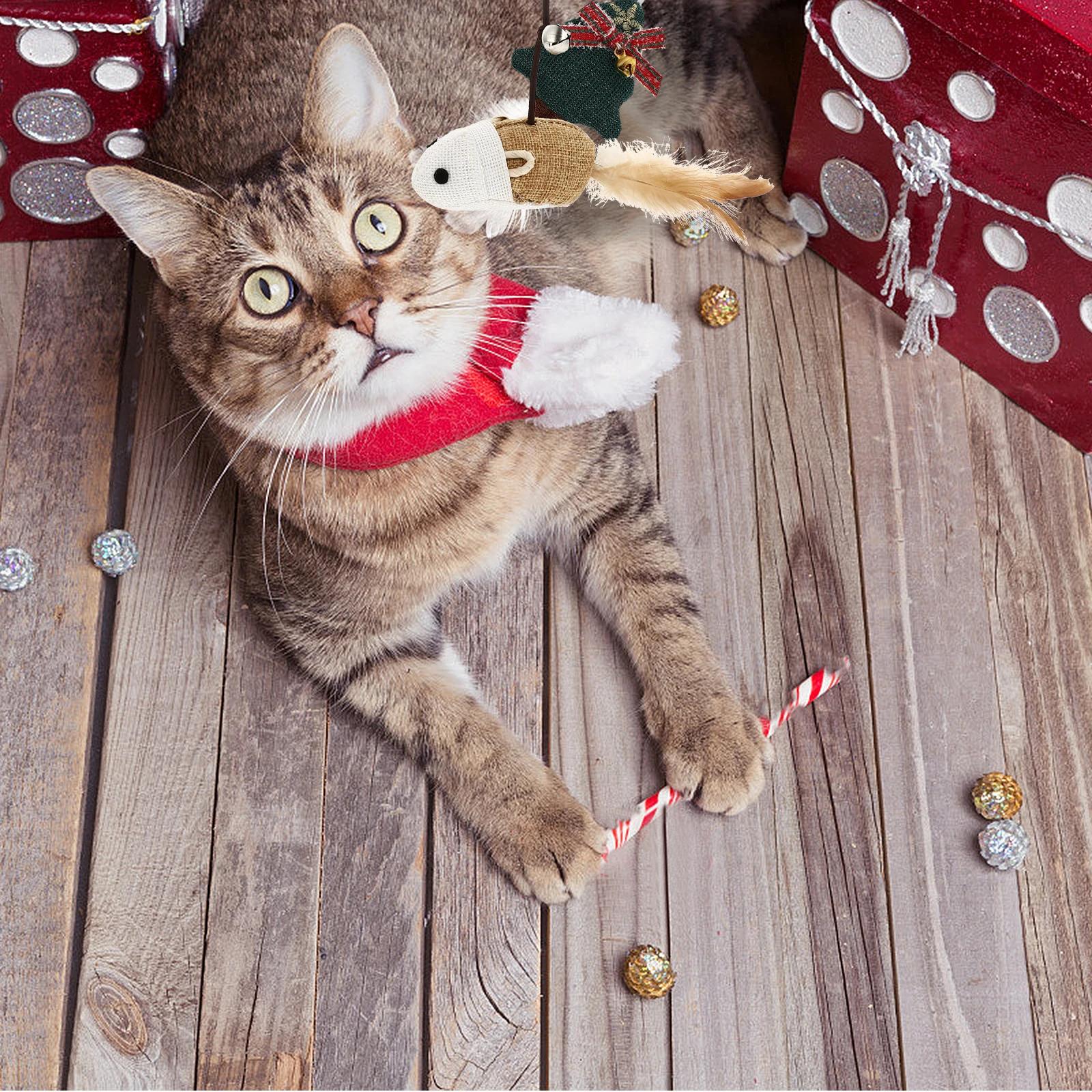 Cat Teaser Stick Interactive Toy Wand Activity Flirting Fun Stress Relief Pet Supplies Cat Playing Wood Material
Cat Teaser Stick Interactive Toy Wand Activity Flirting Fun Stress Relief Pet Supplies Cat Playing Wood Material