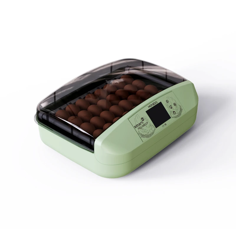 Автоматические роликовые лотки для яиц с частотой инкубации 98% Инкубатор для разведения яиц
Автоматические роликовые лотки для яиц с частотой инкубации 98% Инкубатор для разведения яиц