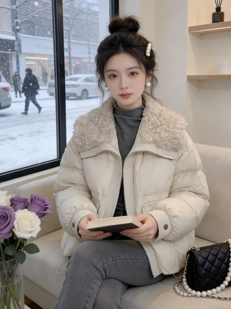 Slimming Effect Korean Style Fashionable Pure Color Cotton Jacket Women's Winter New Style Stand Collar Coat Versatile Outerwear
Slimming Effect Korean Style Fashionable Pure Color Cotton Jacket Women's Winter New Style Stand Collar Coat Versatile Outerwear