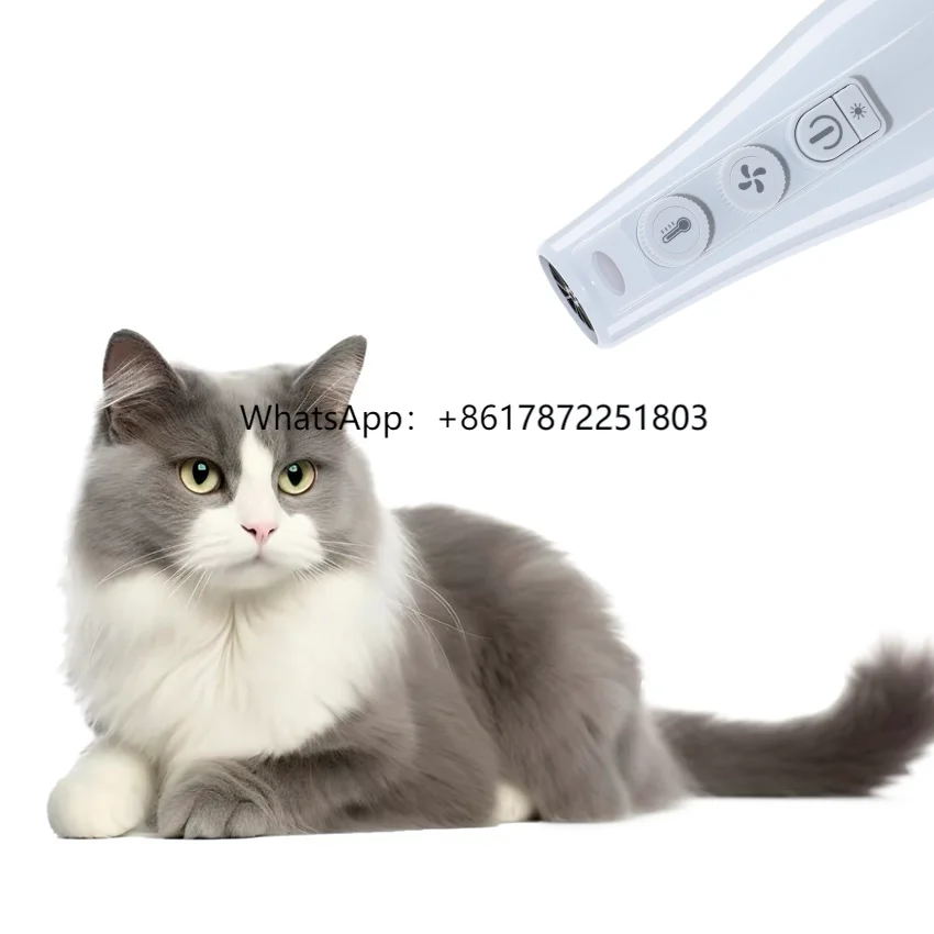 Hot Selling Professional Pet Dog Grooming Hair Dryer with Infinite Heat and Cold Switch Easy to Use Free to Comb Pet Hair
Hot Selling Professional Pet Dog Grooming Hair Dryer with Infinite Heat and Cold Switch Easy to Use Free to Comb Pet Hair