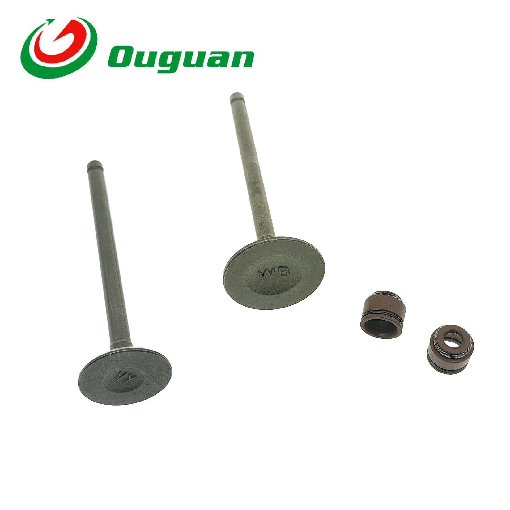 ouguan for Honda BLADE 110 cc 110cc Valve Intake Exhaust Stem Valve Oil Seal
ouguan for Honda BLADE 110 cc 110cc Valve Intake Exhaust Stem Valve Oil Seal