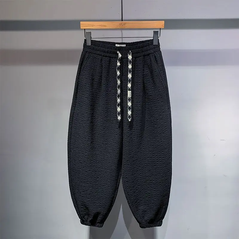Simple Design Pleated Checked Casual Pants for Men's Summer Thin Retro Harem Pants
Simple Design Pleated Checked Casual Pants for Men's Summer Thin Retro Harem Pants