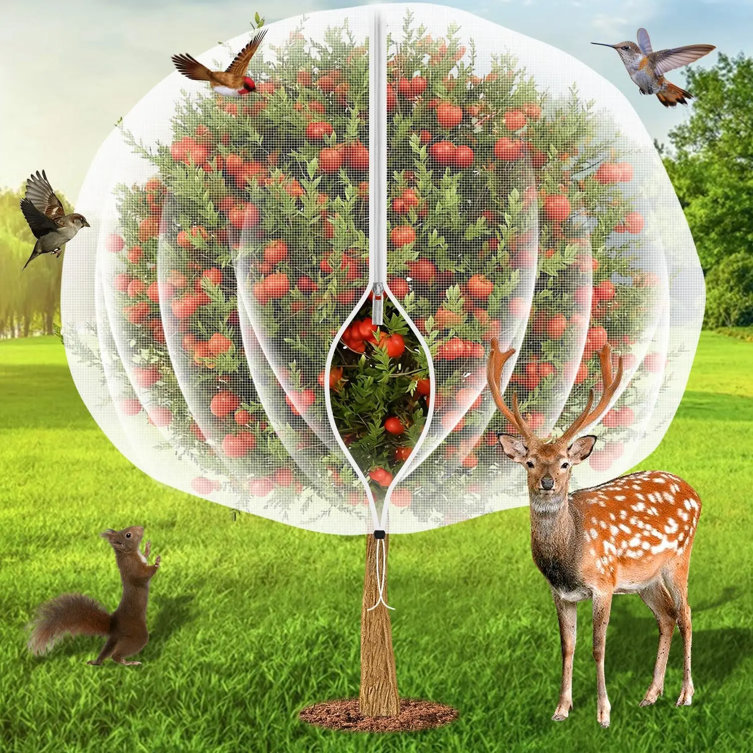 Защитная сетка для фруктовых деревьев 6'x6' с молнией и шнурком, ультратонкая сетка для защиты садовых растений от насекомых и вредителей
Защитная сетка для фруктовых деревьев 6'x6' с молнией и шнурком, ультратонкая сетка для защиты садовых растений от насекомых и вредителей