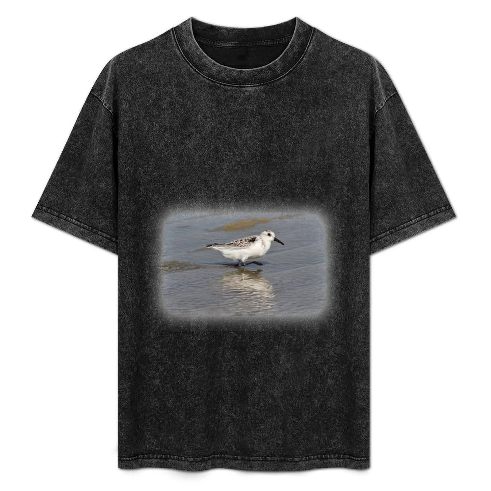 Sanderling T-Shirt graphic t shirts korean fashion graphic tee shirt fruit of the loom mens t shirts
Sanderling T-Shirt graphic t shirts korean fashion graphic tee shirt fruit of the loom mens t shirts
