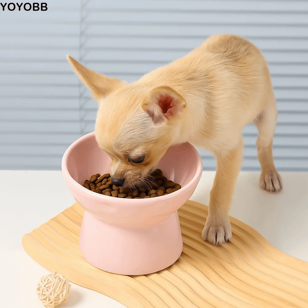 Slanted Mouth Cat Slow Food Bowl Anti Tipping Multi-use Dog Feeding Basin Non-slip Large Capacity Pet Drinking Feeder
Slanted Mouth Cat Slow Food Bowl Anti Tipping Multi-use Dog Feeding Basin Non-slip Large Capacity Pet Drinking Feeder