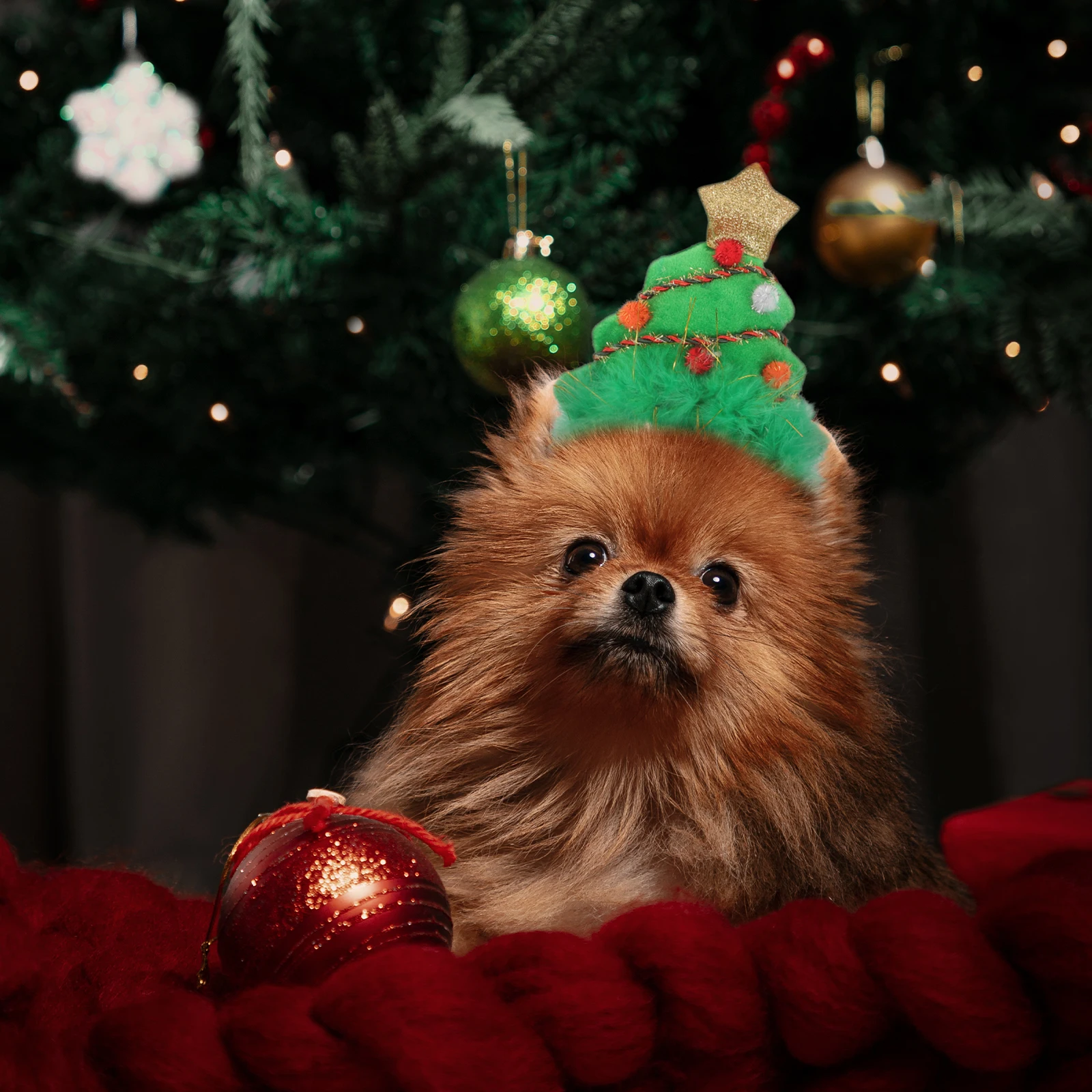 2 Pcs Flower Head Child Christmas Decoration Ornaments Dog Acrylic Decorations Pet
2 Pcs Flower Head Child Christmas Decoration Ornaments Dog Acrylic Decorations Pet