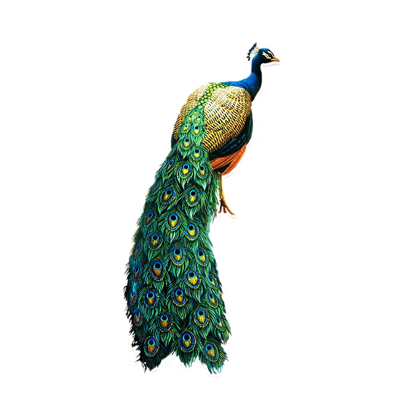 M435# Car Sticker Birds Peacock Waterproof Vinyl Decal Car Accessories Pegatinas Para Coche DIY Car Styling
M435# Car Sticker Birds Peacock Waterproof Vinyl Decal Car Accessories Pegatinas Para Coche DIY Car Styling