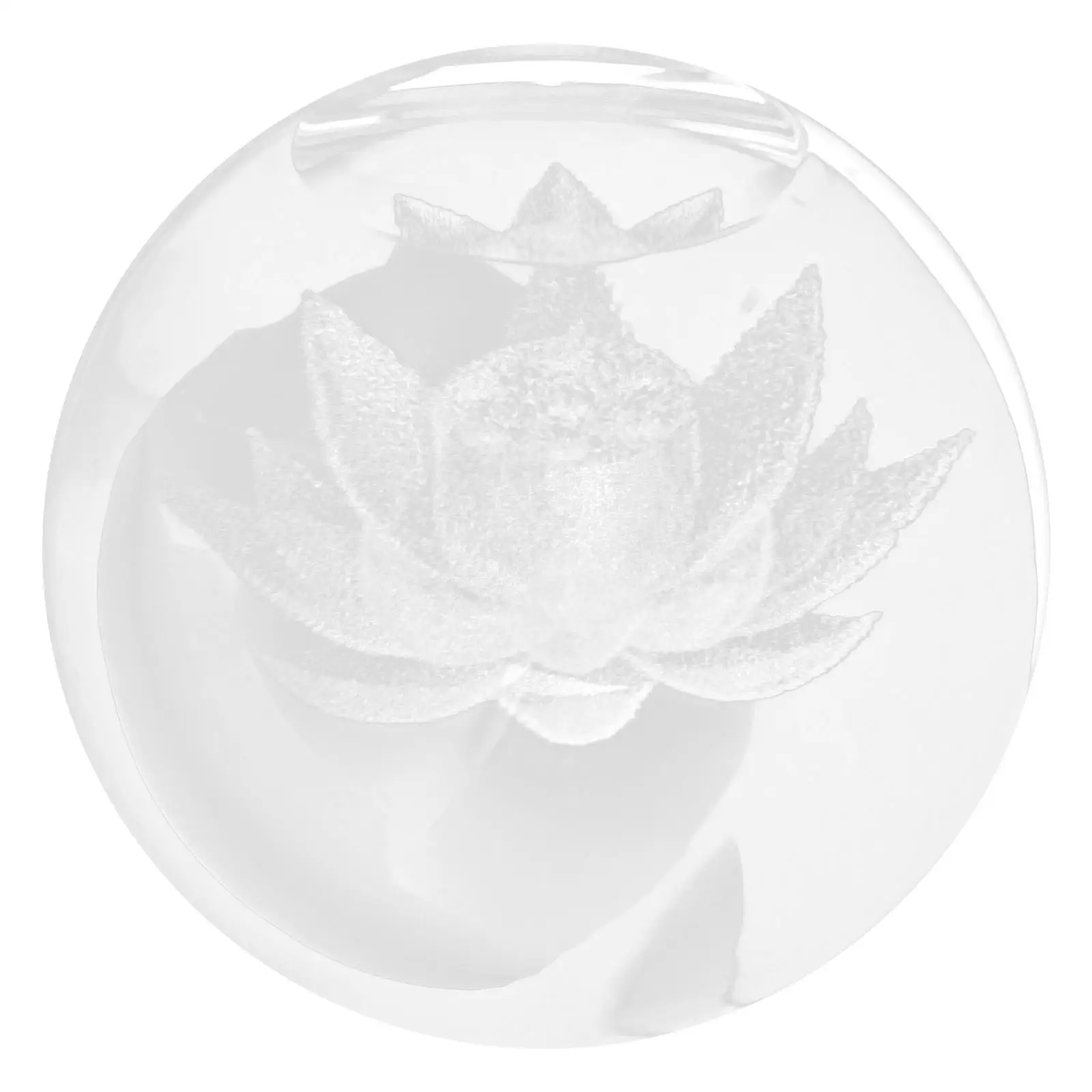 Crystal Teapot Lid Decorative Storage Holder Ceremony Supply Bowl Stand Tearoom Household Teacup Lids Spare Parts
Crystal Teapot Lid Decorative Storage Holder Ceremony Supply Bowl Stand Tearoom Household Teacup Lids Spare Parts