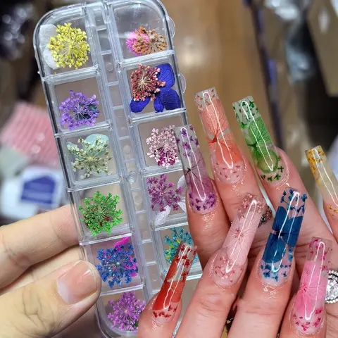 1 caixa colorida flor seca decoração da arte do prego pétalas florais requintado flor decalques do prego decoração material diy acessórios