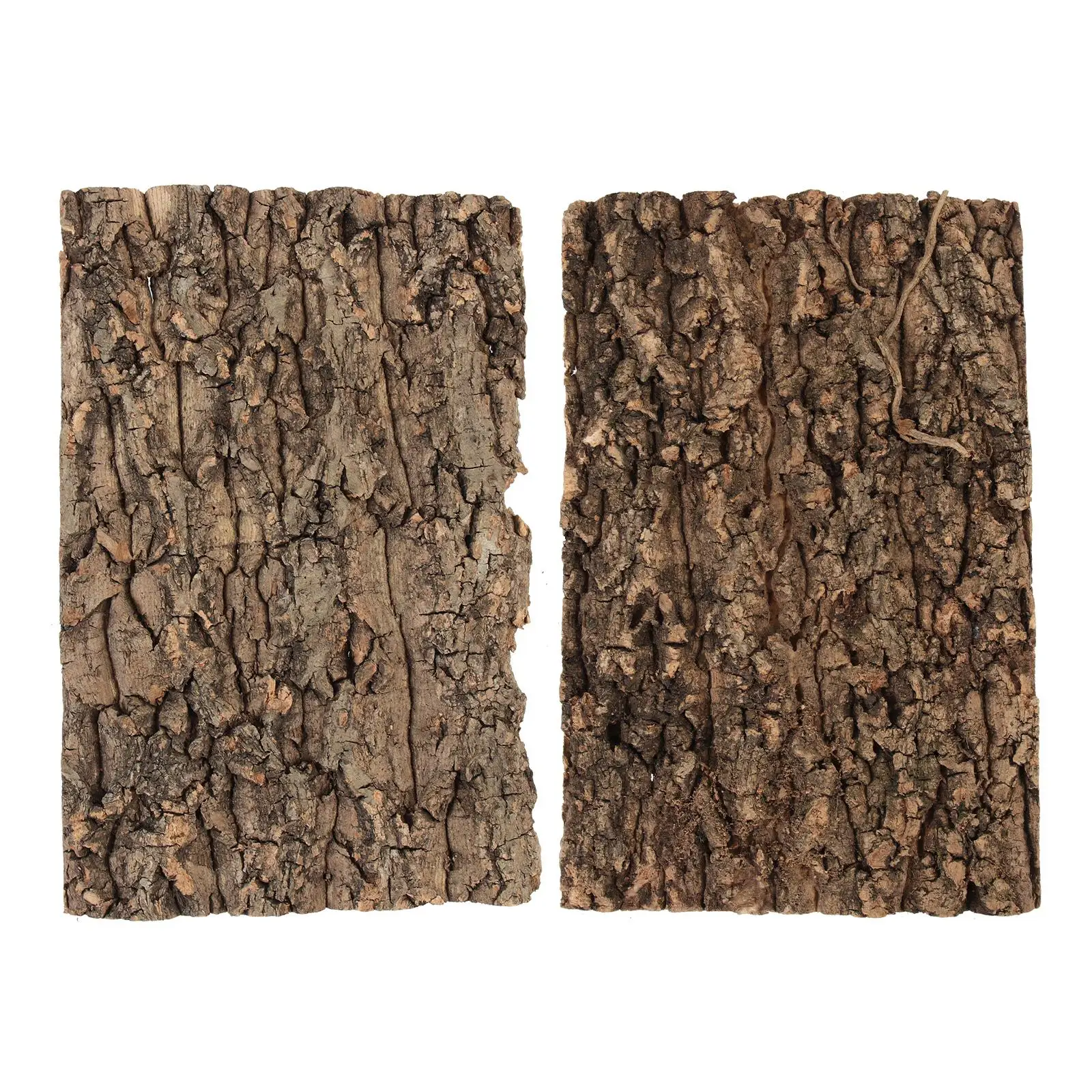 2 Pcs Climbing Bark Reptile Platform Tree Cork Platforms Terrarium Decorations Reptiles
2 Pcs Climbing Bark Reptile Platform Tree Cork Platforms Terrarium Decorations Reptiles