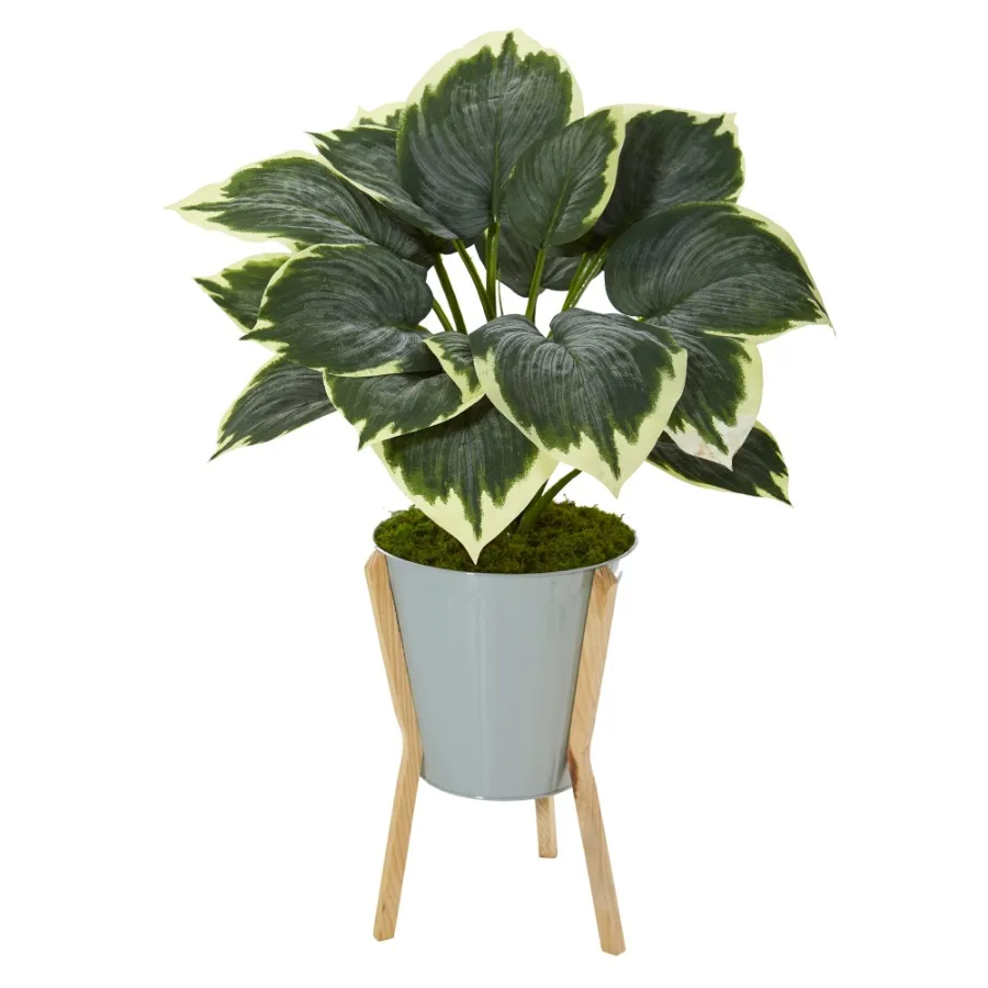 28in. Variegated Hosta Artificial Plant in Green Planter with Stand
28in. Variegated Hosta Artificial Plant in Green Planter with Stand