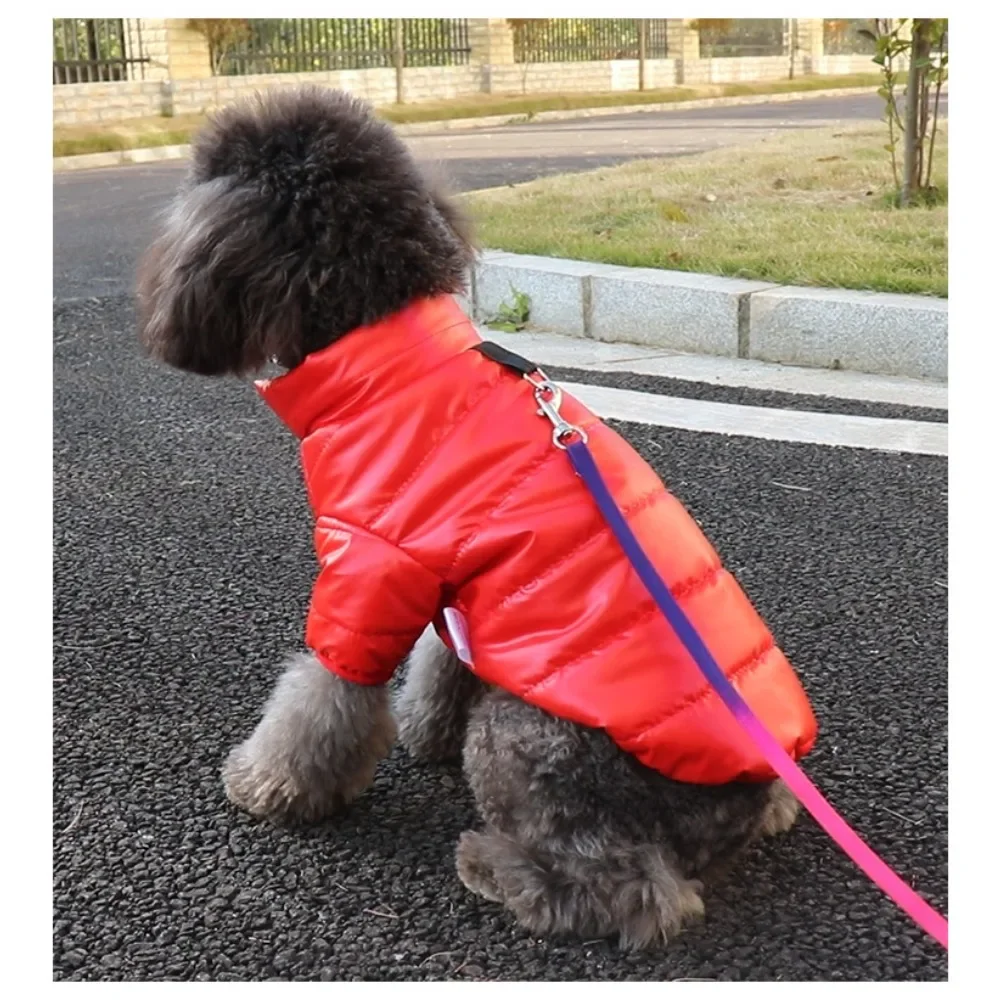 Cotton-padded Leave-in Clothes for Cats Autumn and Winter Dog Clothes for Small Dogs and Pets
Cotton-padded Leave-in Clothes for Cats Autumn and Winter Dog Clothes for Small Dogs and Pets