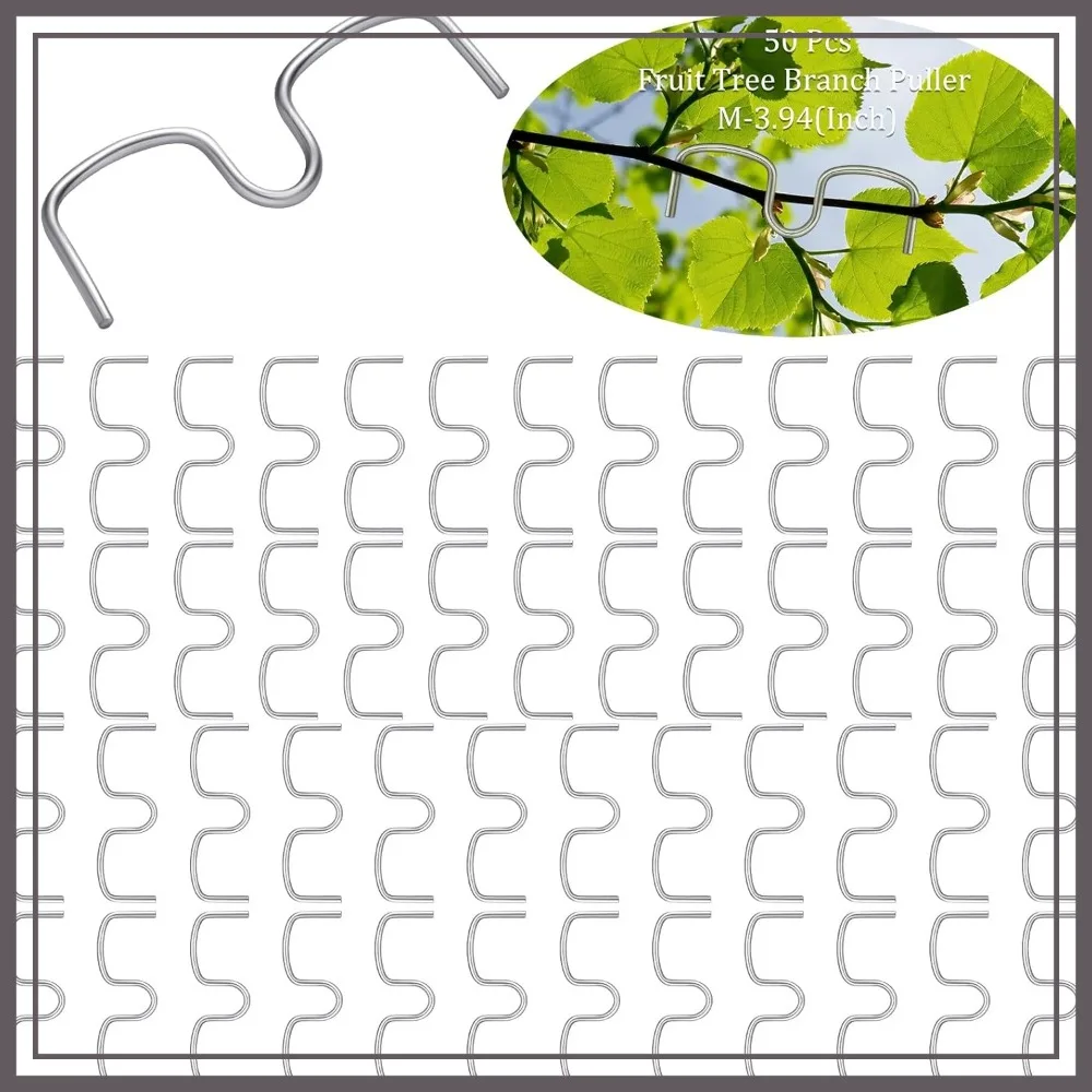50Pcs Fruit Tree Limb Spreaders, M-3.94 Inch Galvanized Branch Puller for Open Angle Training
50Pcs Fruit Tree Limb Spreaders, M-3.94 Inch Galvanized Branch Puller for Open Angle Training