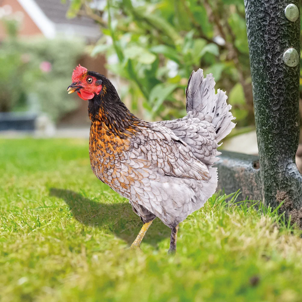 2Pcs Chicken Yard Sign Garden Stake Acrylic Animal Insert Outdoor Lawn Decor for Yard Courtyard Park Garden Decoration
2Pcs Chicken Yard Sign Garden Stake Acrylic Animal Insert Outdoor Lawn Decor for Yard Courtyard Park Garden Decoration