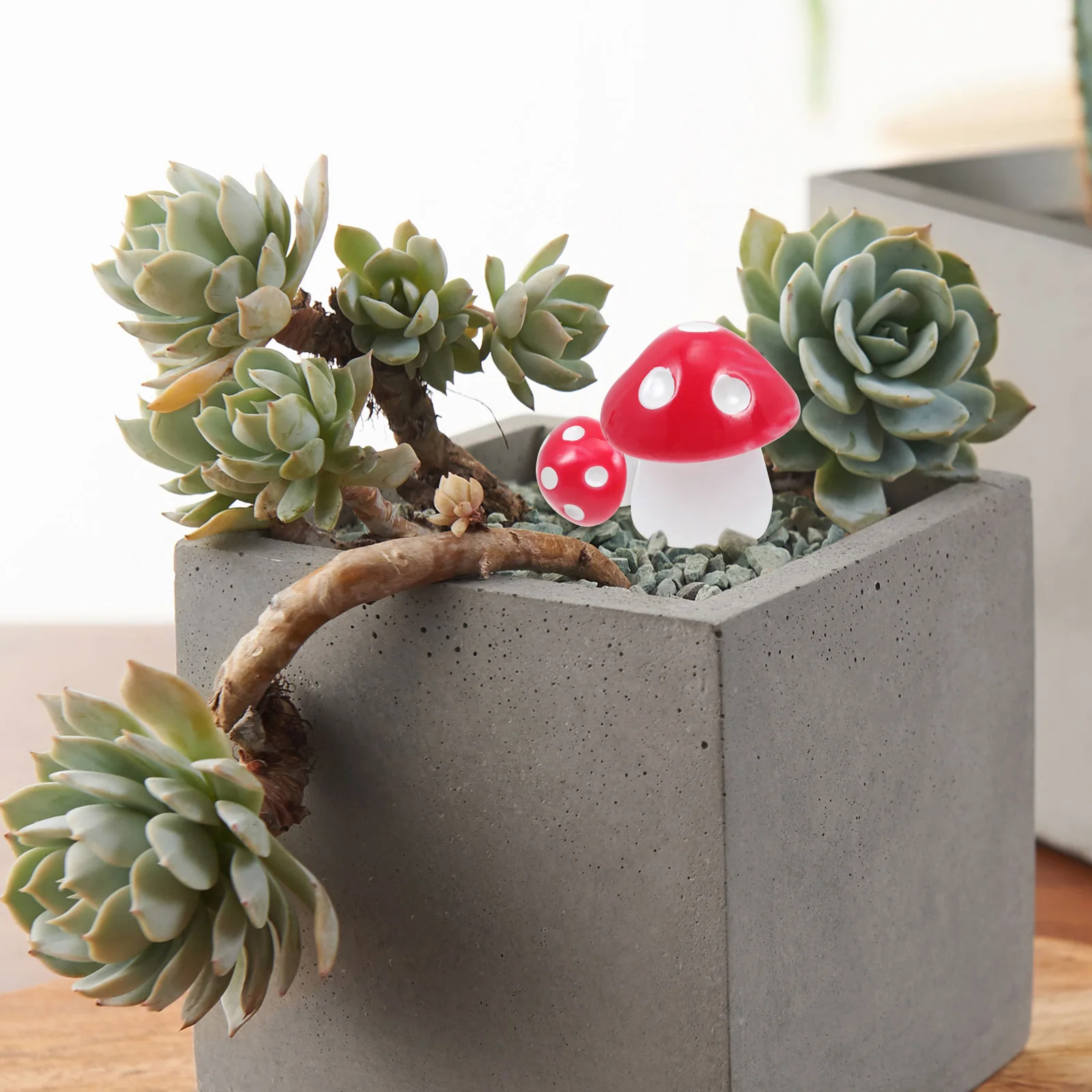 50 Pcs Mushroom Ornament Resin Landscape Mini Adornment Bonsai Decor Colorful Statue for Home Office Garden Microlandscape
50 Pcs Mushroom Ornament Resin Landscape Mini Adornment Bonsai Decor Colorful Statue for Home Office Garden Microlandscape
