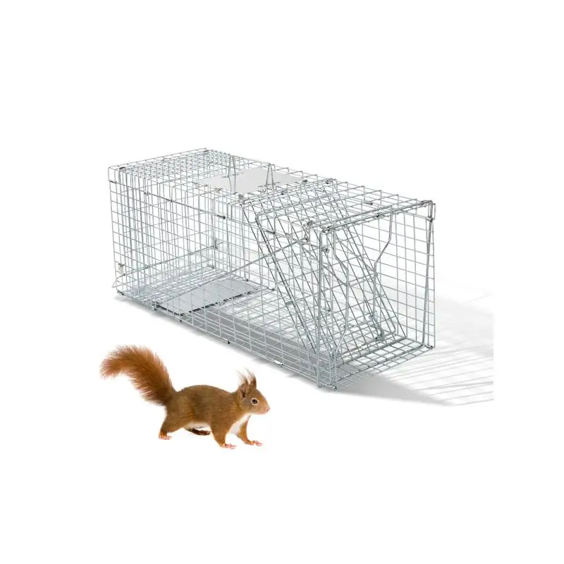 32" Heavy Duty Folding Live Animal Trap for Raccoons, Stray Cats, Squirrels, Skunks, Groundhogs, and Opossums with Handle
32" Heavy Duty Folding Live Animal Trap for Raccoons, Stray Cats, Squirrels, Skunks, Groundhogs, and Opossums with Handle