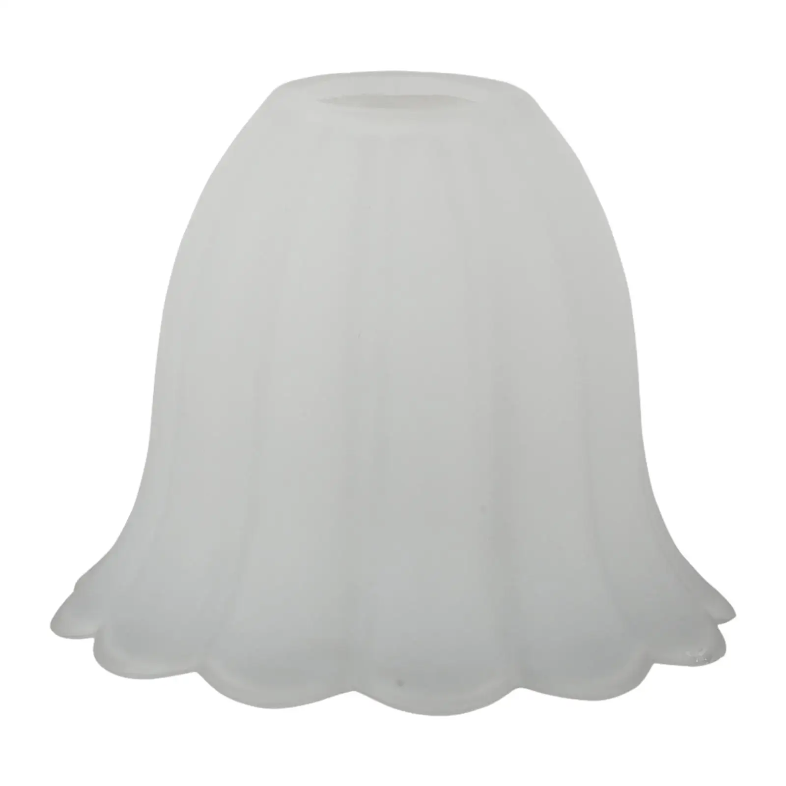 Frosted Glass Lamp Shade Creative Sturdy Minimalist Light Cover for Chandelier Table Lamp Ceiling Light Wall Sconce Living Room
Frosted Glass Lamp Shade Creative Sturdy Minimalist Light Cover for Chandelier Table Lamp Ceiling Light Wall Sconce Living Room