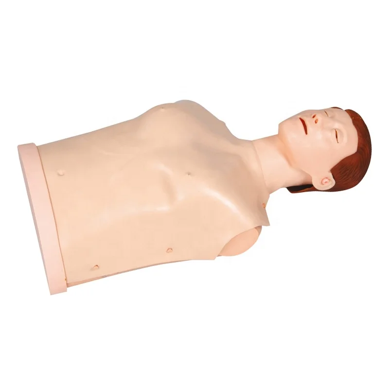 GD/CPR10170 медицинский научный манекен для проведения искусственной речной терапии
GD/CPR10170 медицинский научный манекен для проведения искусственной речной терапии