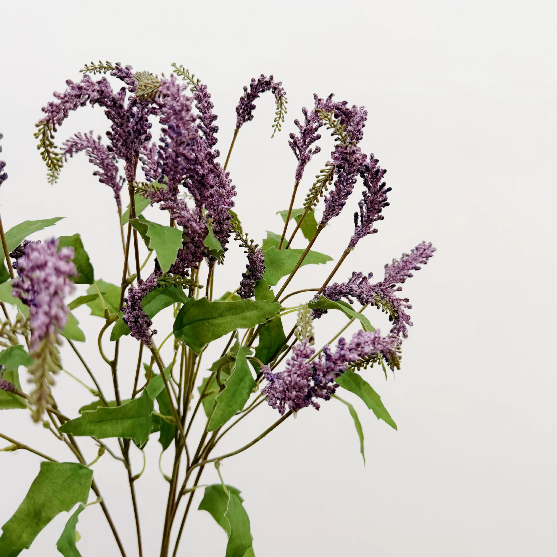 Artificial Sage Flower Wedding Decor Home Soft Decor Engineering Pine Cordyceps Pastoral Ins Floral Material Fake Flowers Props
Artificial Sage Flower Wedding Decor Home Soft Decor Engineering Pine Cordyceps Pastoral Ins Floral Material Fake Flowers Props