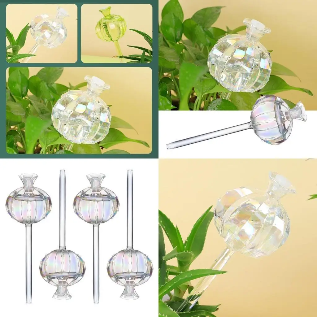 QX2E Glass Plant Watering System Device Pomegranates Watering Planter Insert Glass Automatic Plant Waterer for Garden
QX2E Glass Plant Watering System Device Pomegranates Watering Planter Insert Glass Automatic Plant Waterer for Garden