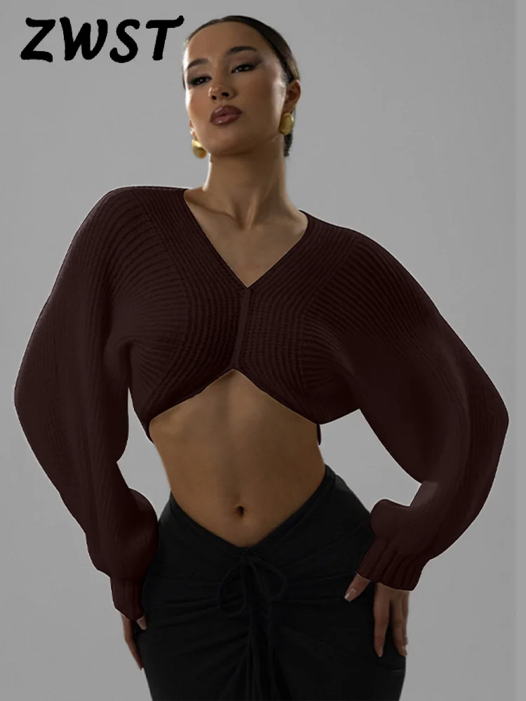 Casual Knitted Crop Pullover Women Solid Full Puff Sleeve Deep V -neck Pullovers Lady 2026 Spring Fashion Top Female
Casual Knitted Crop Pullover Women Solid Full Puff Sleeve Deep V -neck Pullovers Lady 2026 Spring Fashion Top Female