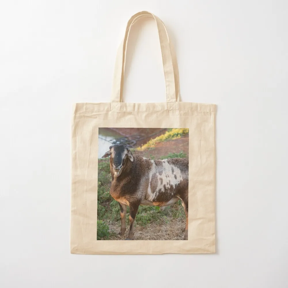 Kingsley! Tote Bag ecological bags Cloth bags shopping bag logo Canvas Tote Bag
Kingsley! Tote Bag ecological bags Cloth bags shopping bag logo Canvas Tote Bag