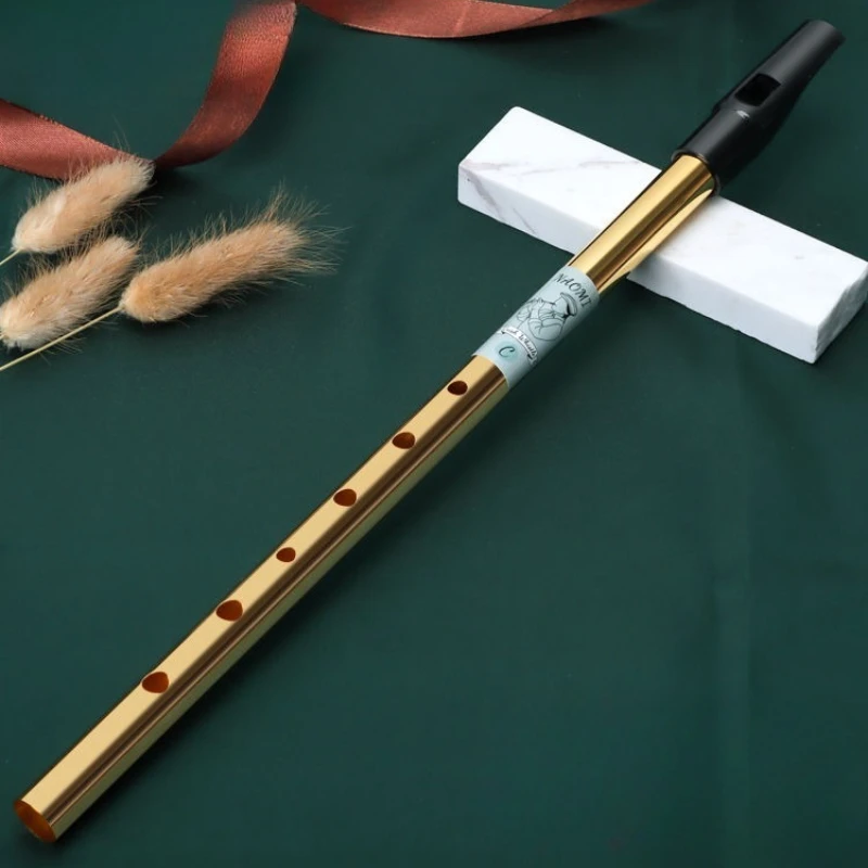 Металлическая флейта со свистком, профессиональная исцеляющая ирландская флейта со свистком, музыкальная терапевтическая флейта, традиционные деревянные духовые музыкальные инструменты
Металлическая флейта со свистком, профессиональная исцеляющая ирландская флейта со свистком, музыкальная терапевтическая флейта, традиционные деревянные духовые музыкальные инструменты