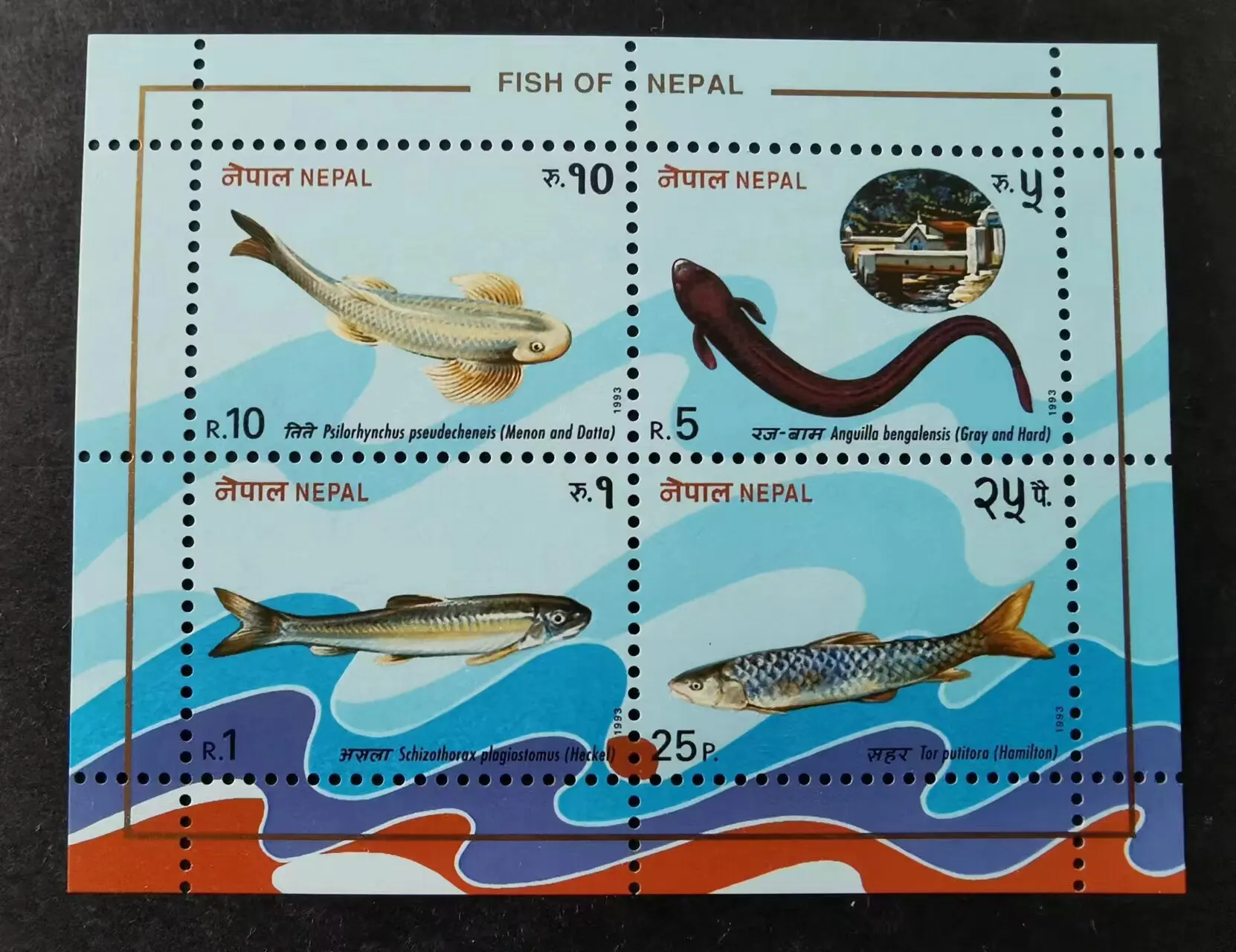 Nepal Post Stamps Postage Y1993 Himalayan Alpine Fish Yellowfin Eel 1 Sheet 4 New MNH Collectible Postage Stamps Scrapbooking
Nepal Post Stamps Postage Y1993 Himalayan Alpine Fish Yellowfin Eel 1 Sheet 4 New MNH Collectible Postage Stamps Scrapbooking