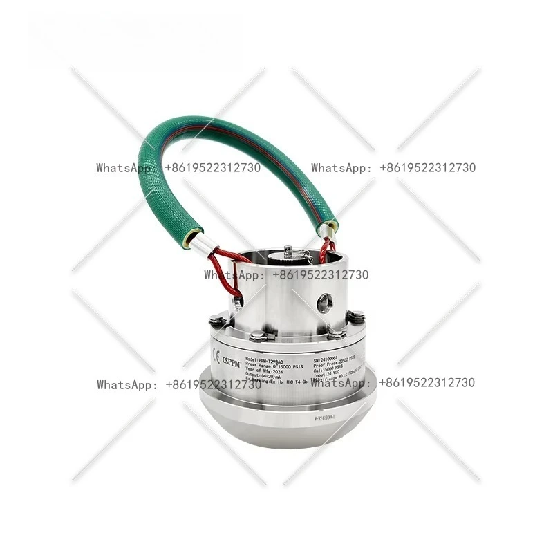 PPM-T293 High Precision Hammer Linked Inconel 750 Material Pressure Sensor for Oilfield Use
PPM-T293 High Precision Hammer Linked Inconel 750 Material Pressure Sensor for Oilfield Use
