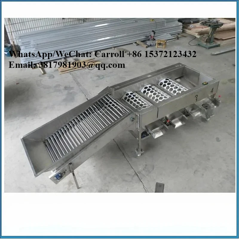 Garlic Sorting Machine/fruit Grader Machine/vegetable Fruit Sorter In Fruit And Vegetable Production Base
Garlic Sorting Machine/fruit Grader Machine/vegetable Fruit Sorter In Fruit And Vegetable Production Base