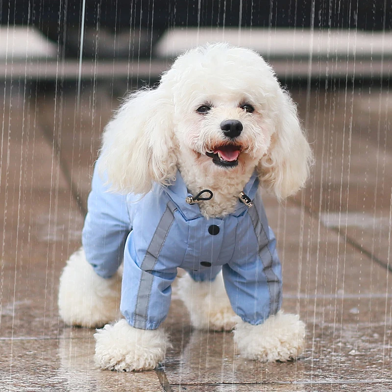 Adjustable Waterproof Pet Rain Jacket Reflective Hooded Poncho for Small Medium Large Dogs Lightweight Breathable Pet Rain Coat
Adjustable Waterproof Pet Rain Jacket Reflective Hooded Poncho for Small Medium Large Dogs Lightweight Breathable Pet Rain Coat
