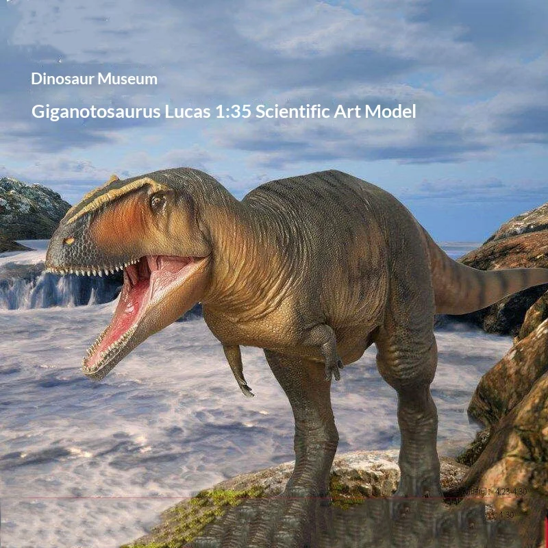 Dinosaur Model Giganotosaurus Lucas 1 To 35 Scale Scientific Art Model For Dinosaur Enthusiasts Adult Collectors Home Decor Gift
Dinosaur Model Giganotosaurus Lucas 1 To 35 Scale Scientific Art Model For Dinosaur Enthusiasts Adult Collectors Home Decor Gift