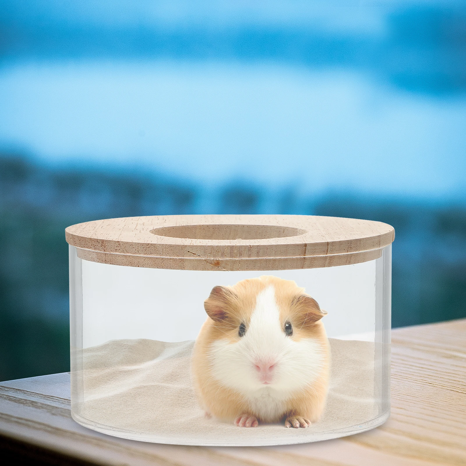 Hamster Wooden Sand Container Dust Bath Accessories for Small Pets Gerbils Chinchillas Bath Tub Basins
Hamster Wooden Sand Container Dust Bath Accessories for Small Pets Gerbils Chinchillas Bath Tub Basins
