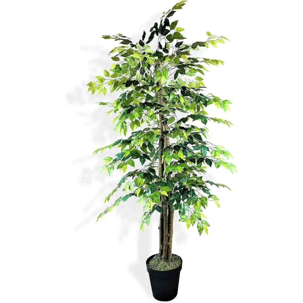 Elegant 6ft Artificial Tree in Planter - Assembled High-End Silk Plant, Real Wood Base - Tall Indoor Floor Decor
Elegant 6ft Artificial Tree in Planter - Assembled High-End Silk Plant, Real Wood Base - Tall Indoor Floor Decor