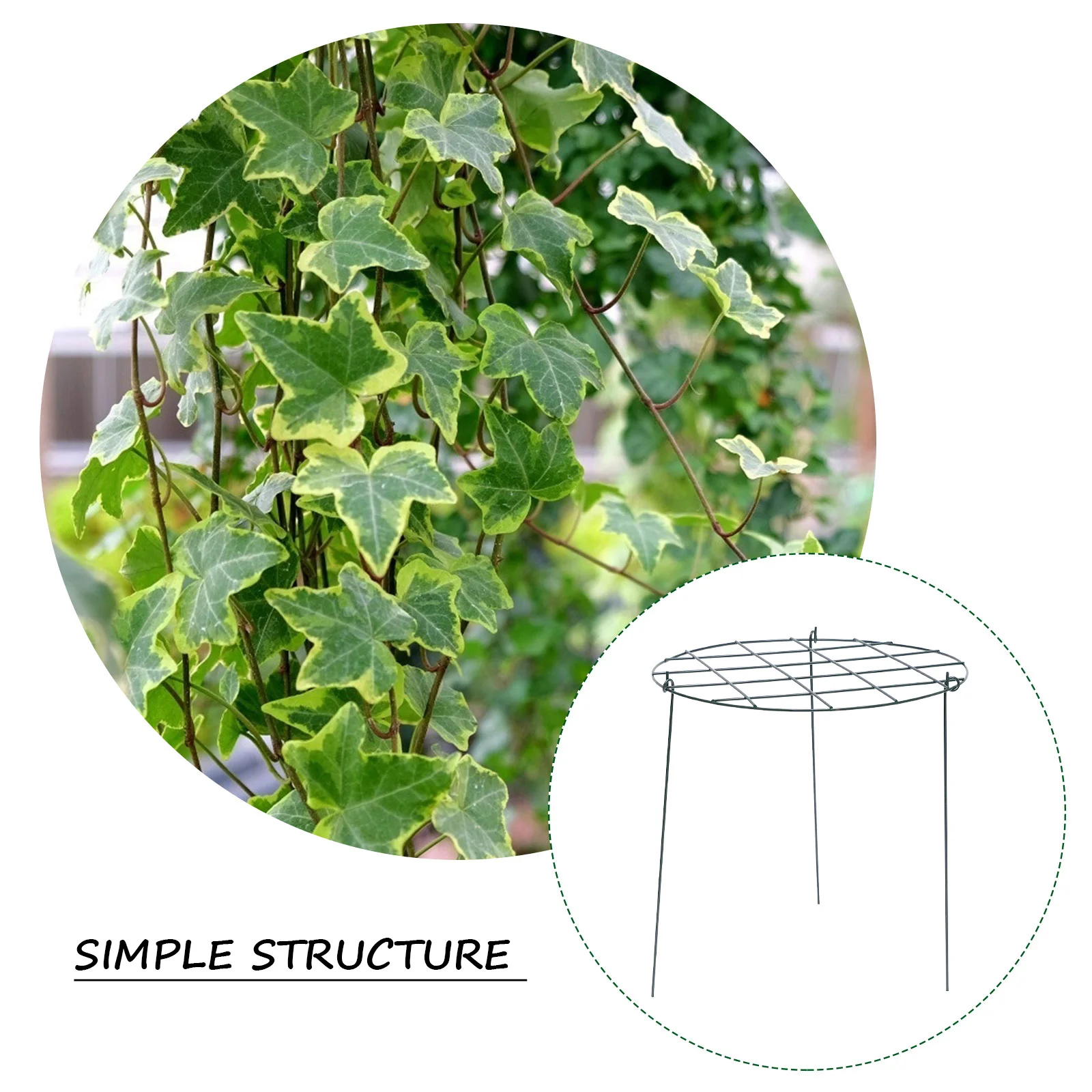 2pcs Climbing Rack For Strawberries Plant Support Shelf Gardening Vine Fixing Pole Reusable Soil Insert Garden Plant Rack
2pcs Climbing Rack For Strawberries Plant Support Shelf Gardening Vine Fixing Pole Reusable Soil Insert Garden Plant Rack
