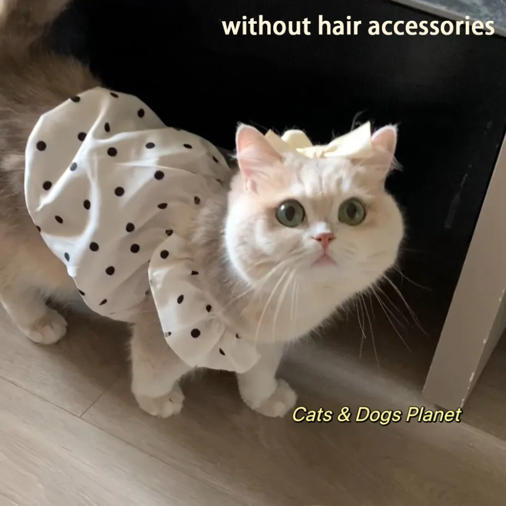 Fashion Dot Pet Dog Dress Summer Clothes Slim Style Cat Princess Dresses Sleeveless Pet Clothes Chihuahua Bichon French Bulldog
Fashion Dot Pet Dog Dress Summer Clothes Slim Style Cat Princess Dresses Sleeveless Pet Clothes Chihuahua Bichon French Bulldog