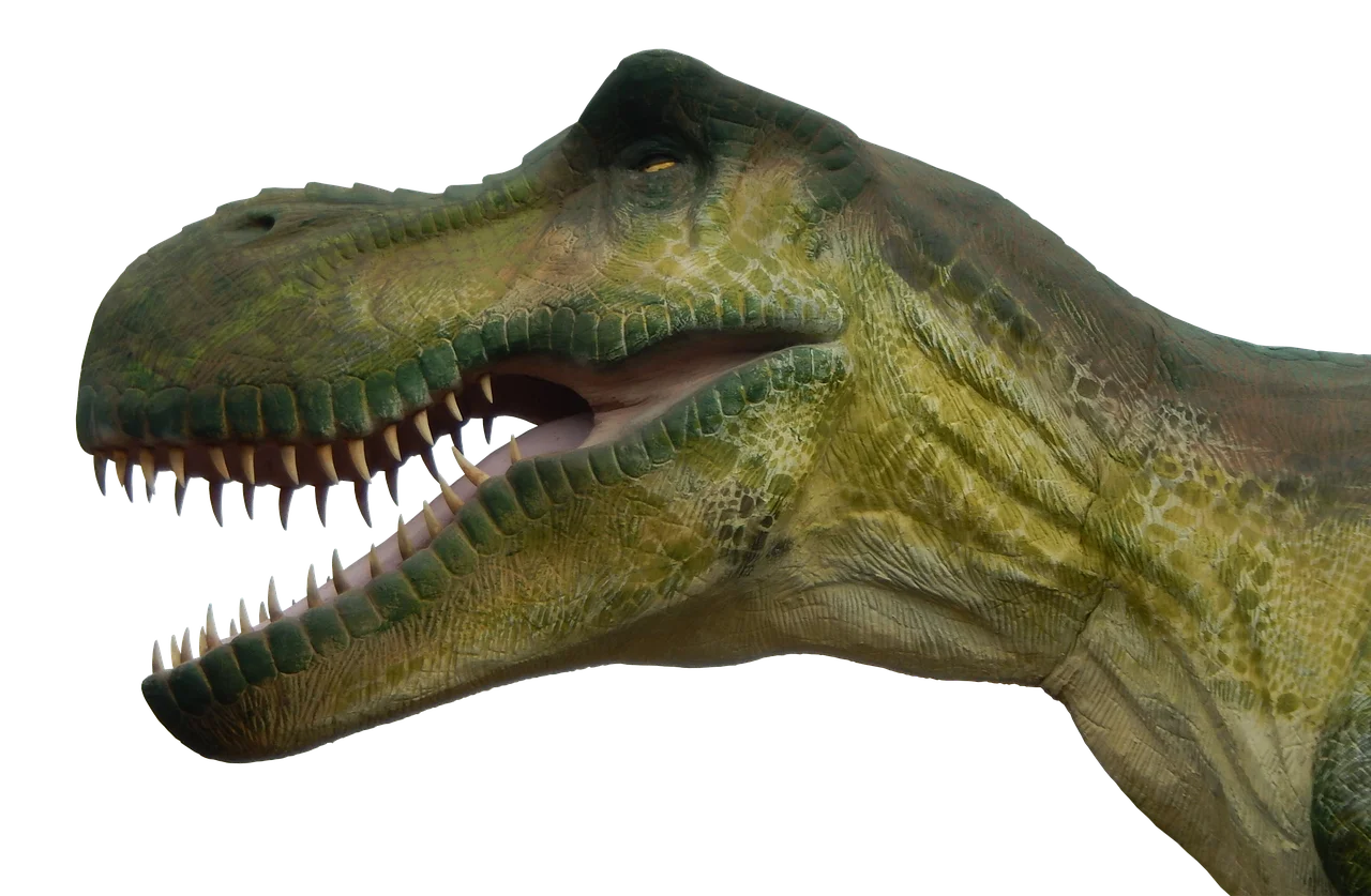 90 мм, 4 шт. резиновые шины и нейлоновые колесные диски для MN128 MN999 MN86 MJX 10208, универсальные
90 мм, 4 шт. резиновые шины и нейлоновые колесные диски для MN128 MN999 MN86 MJX 10208, универсальные