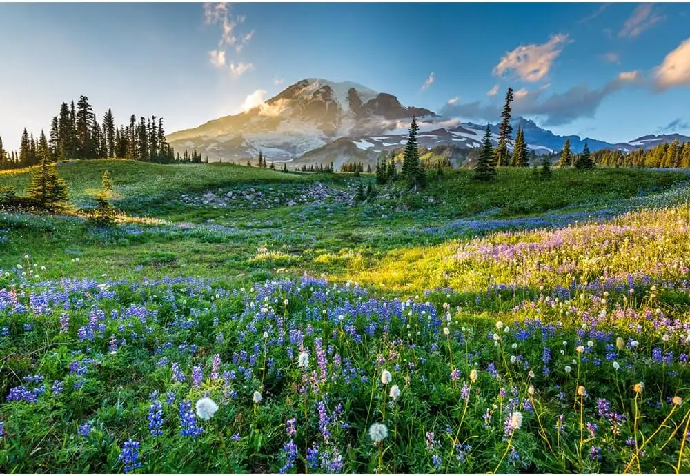 Пазл для взрослых, 300/500/1000 шт., деревянный пазл Vast Wilderness для спальни, геймера, декора гостиной, подарок на праздник, день рождения
Пазл для взрослых, 300/500/1000 шт., деревянный пазл Vast Wilderness для спальни, геймера, декора гостиной, подарок на праздник, день рождения