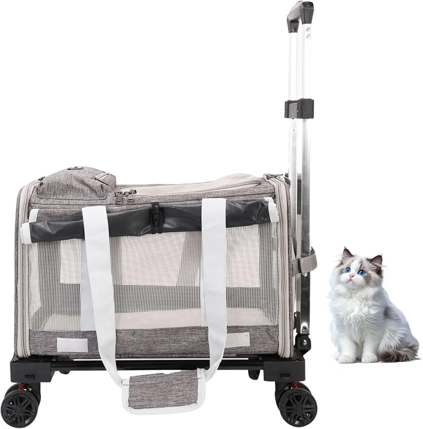 Pet Carrier with Wheels - Soft-Side Wheeled Cat Carrier for Dogs with Telescopic Handle, Collapsible Rolling Pet Travel Bag C
Pet Carrier with Wheels - Soft-Side Wheeled Cat Carrier for Dogs with Telescopic Handle, Collapsible Rolling Pet Travel Bag C