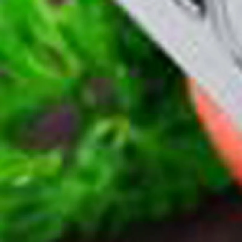 Commercial Stainless Steel Meat Slicer Flaky Meat Cutting Machine Electric Meat Slicer Shredded Machine
Commercial Stainless Steel Meat Slicer Flaky Meat Cutting Machine Electric Meat Slicer Shredded Machine