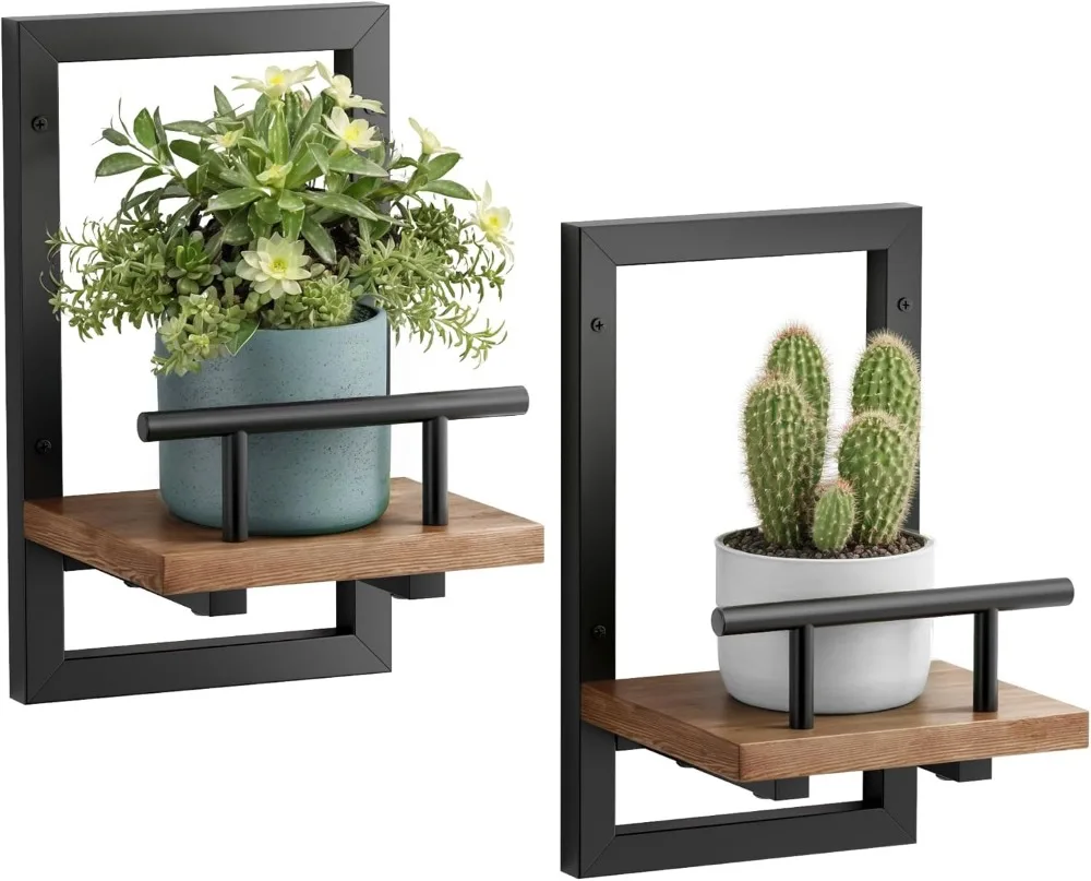 Floating Wall Shelves for Plants and Decor, 2-Pack Indoor Display Shelf for Living Room, Bedroom, Office
Floating Wall Shelves for Plants and Decor, 2-Pack Indoor Display Shelf for Living Room, Bedroom, Office