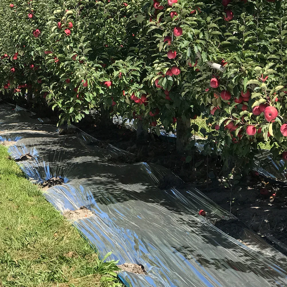 Garden Reflective Film Greenhouse Plants Mirror Paper Covering Polyester Vegetable Insulation Reusable Winter Growth Emergency
Garden Reflective Film Greenhouse Plants Mirror Paper Covering Polyester Vegetable Insulation Reusable Winter Growth Emergency