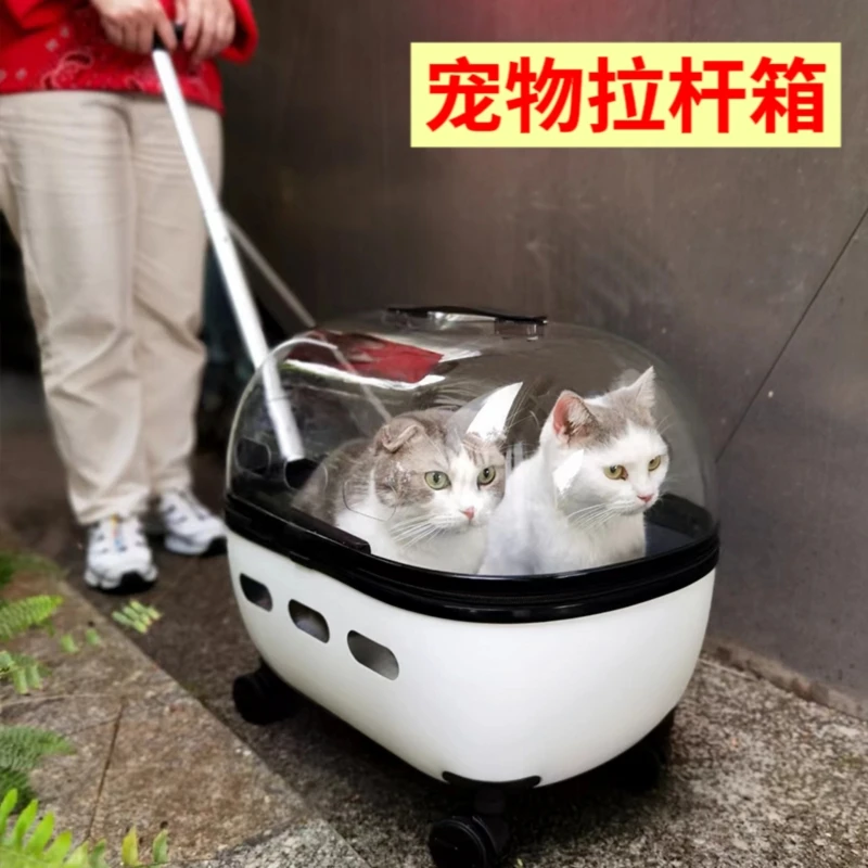 Pet trolley case cat bag going out portable backpack double pet cart transparent two suitcases
Pet trolley case cat bag going out portable backpack double pet cart transparent two suitcases
