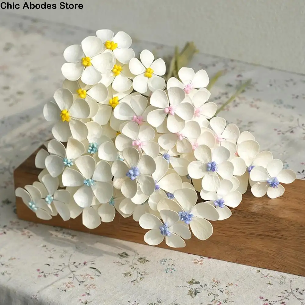 10pcs Handmade Violet Dried Flower Realistic Violet Color DIY Adhesive Flower Elegant Artificial Violet Flowers Living Room 
10pcs Handmade Violet Dried Flower Realistic Violet Color DIY Adhesive Flower Elegant Artificial Violet Flowers Living Room