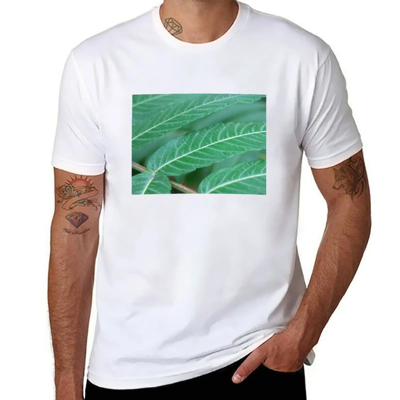 Leaf Branch Pattern T-Shirt t shirt personalised t shirt custom print T-Shirt
Leaf Branch Pattern T-Shirt t shirt personalised t shirt custom print T-Shirt