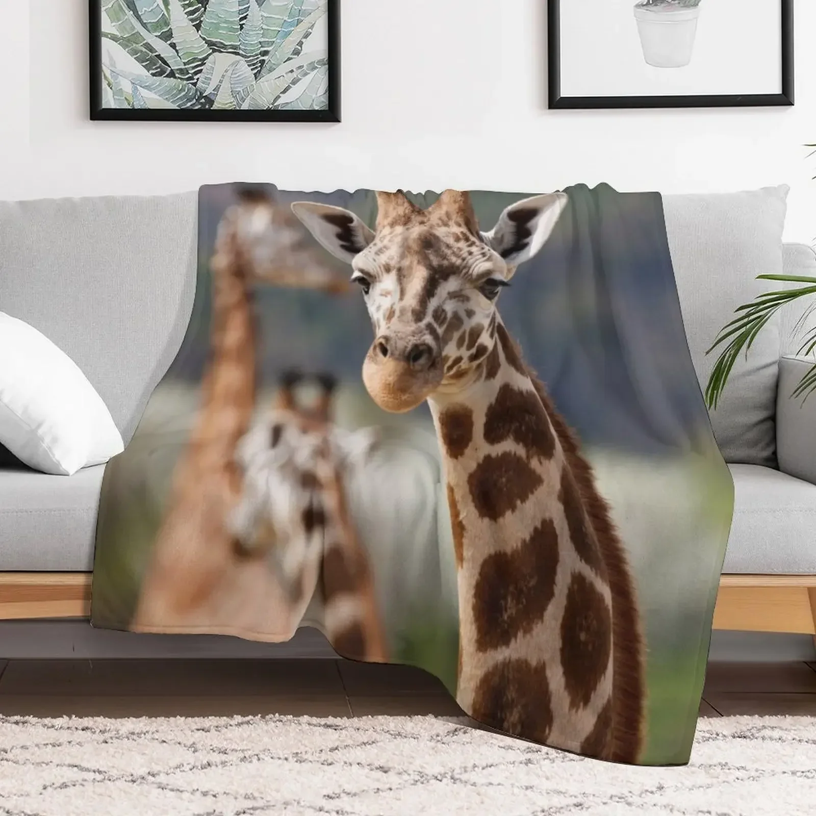 Giraffe Throw Blanket Designers Cute Hair Blankets Summer Kid'S Bed Fashionable Blankets
Giraffe Throw Blanket Designers Cute Hair Blankets Summer Kid'S Bed Fashionable Blankets