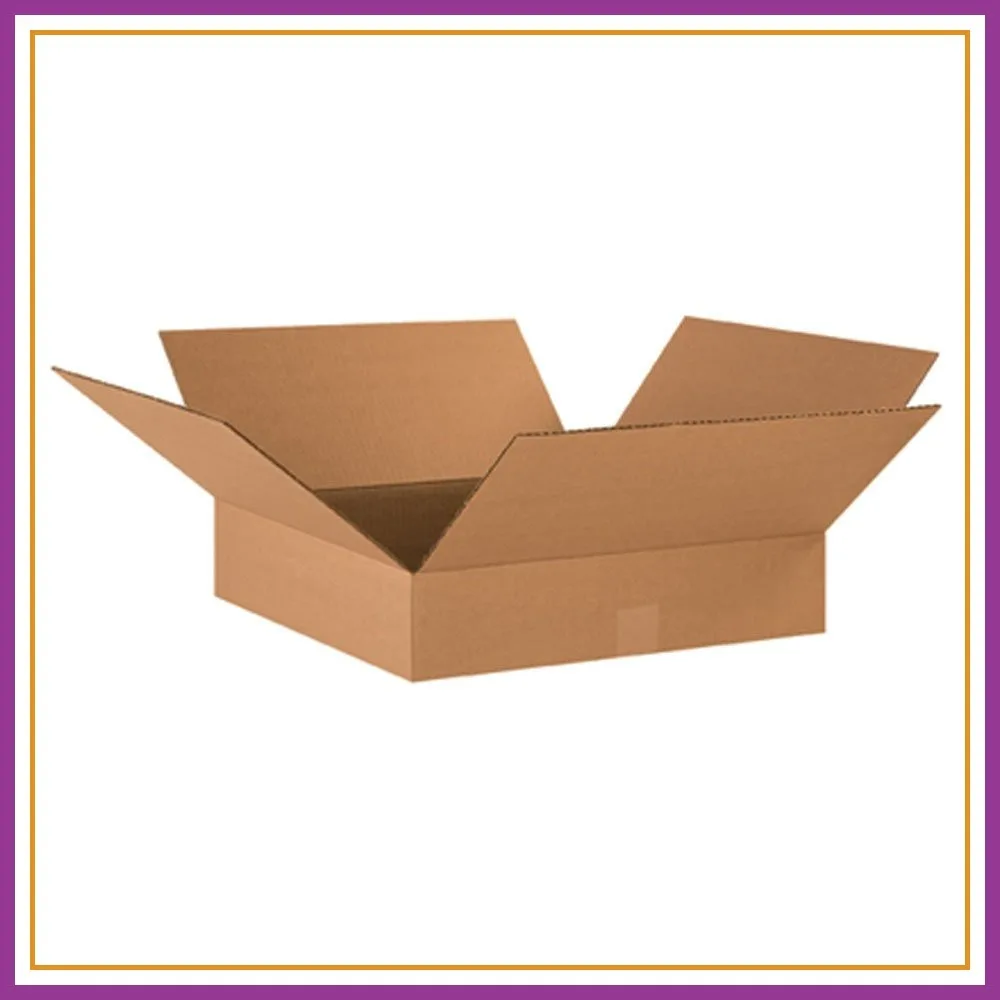 18"L x 18"W x 4"H Flat Corrugated Cardboard Box, Kraft, 25-Pack for Shipping, Packing and Moving
18"L x 18"W x 4"H Flat Corrugated Cardboard Box, Kraft, 25-Pack for Shipping, Packing and Moving