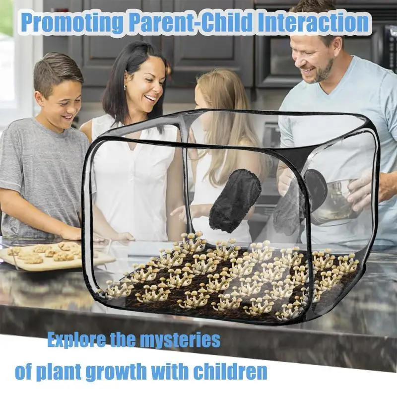 Mushroom Growing Tent Kit Large Still Air Box Foldable Mushroom Grow Bag Edible FungusCultivation
Mushroom Growing Tent Kit Large Still Air Box Foldable Mushroom Grow Bag Edible FungusCultivation