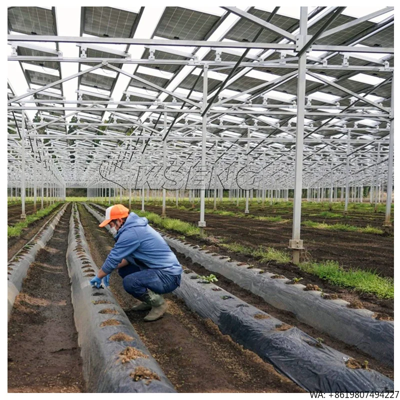 1MW Solar Farm Ground Mount System Aluminum Solar Farm Mounting Bracket PV Panel Ground Mounting Structure for Farms
1MW Solar Farm Ground Mount System Aluminum Solar Farm Mounting Bracket PV Panel Ground Mounting Structure for Farms