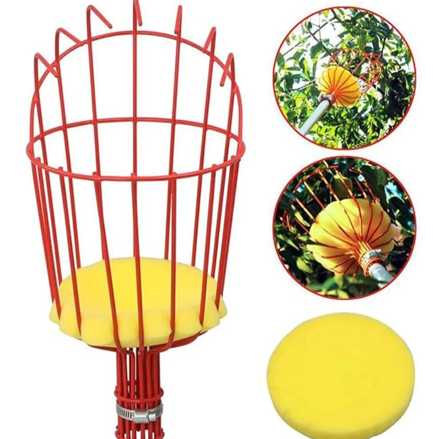 Fruit Picker Tool, Novelty Garden Harvesting Tool for High Branches, Handheld Farming & Gardening Supplies
Fruit Picker Tool, Novelty Garden Harvesting Tool for High Branches, Handheld Farming & Gardening Supplies